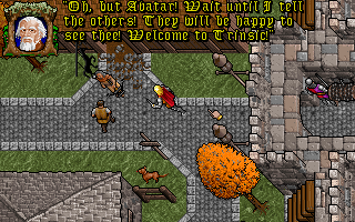 Ultima VII - The Black Gate