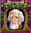 Iolo in Ultima VII - The Black Gate